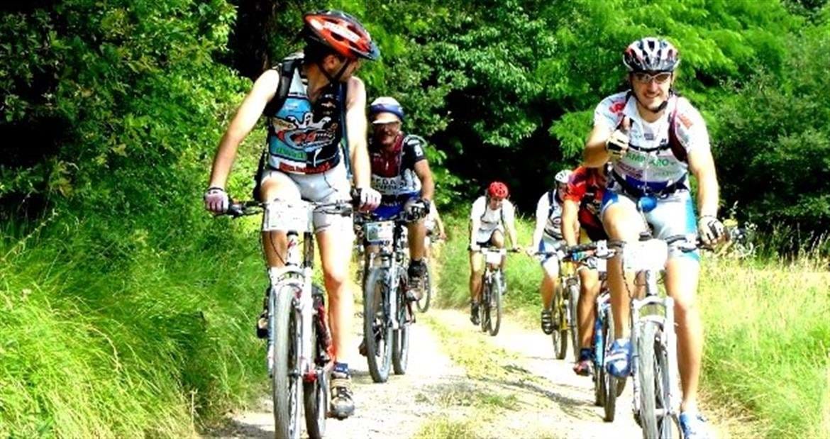 0, 142, 1170, 619, 639, 338